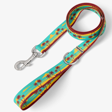 front view of leash