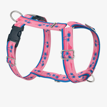 front view of harness