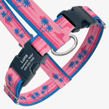 closeup view of harness with personalized buckle