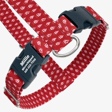 closeup view of harness with personalized buckle