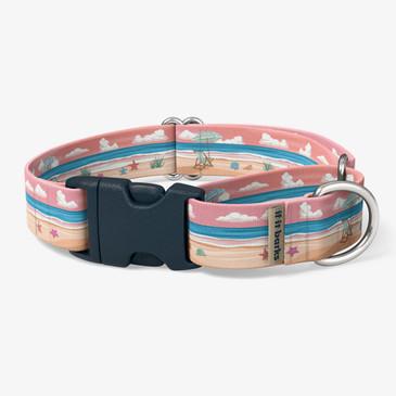 front view of collar