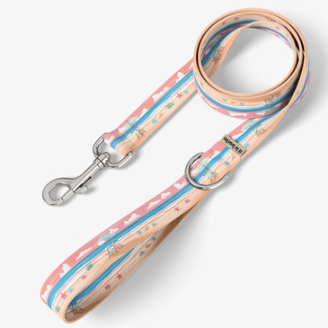 front view of leash