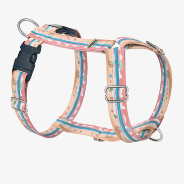 front view of harness