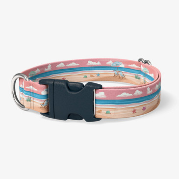 image of front of collar.