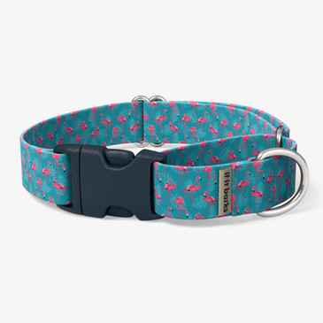 front view of collar
