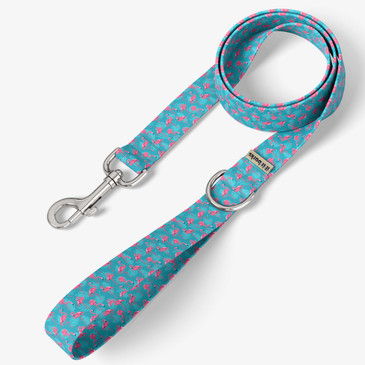 front view of leash