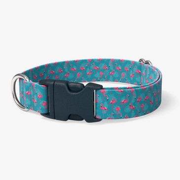 image of front of collar.