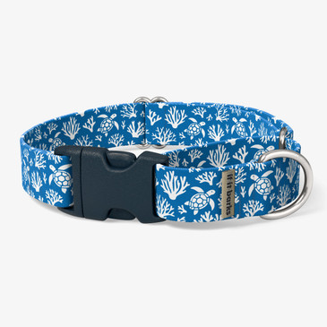 front view of collar