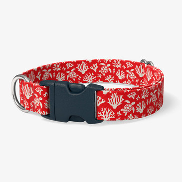 image of front of collar.