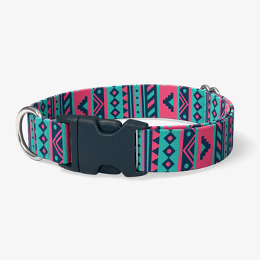 image of front of collar.