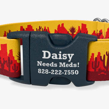 closeup of buckle personalization