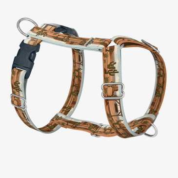 front view of harness