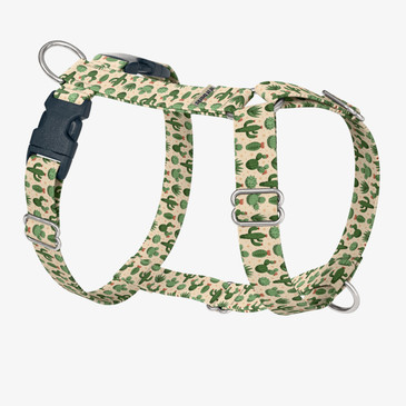 front view of harness