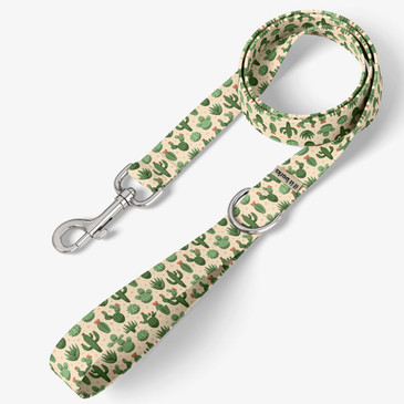 front view of leash