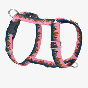 front view of harness