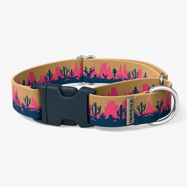 front view of collar