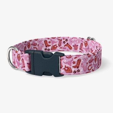 image of front of collar.