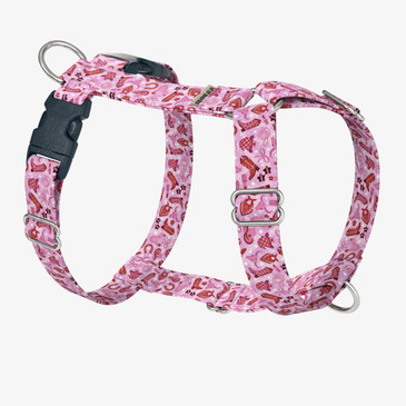 front view of harness