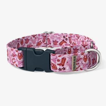 front view of collar