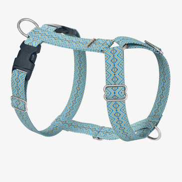 front view of harness