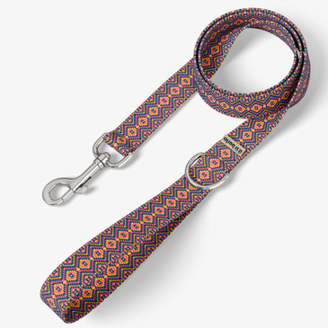 front view of leash