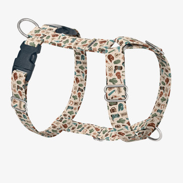 front view of harness