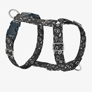front view of harness
