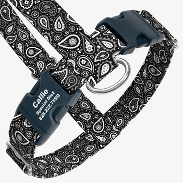 closeup view of harness with personalized buckle