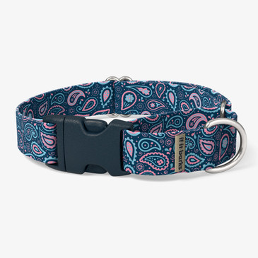 front view of collar
