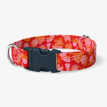 image of front of collar.