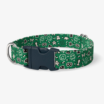 image of front of collar.
