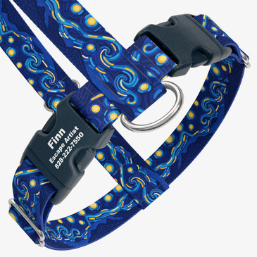closeup view of harness with personalized buckle