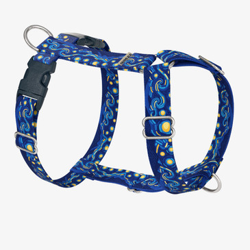 front view of harness