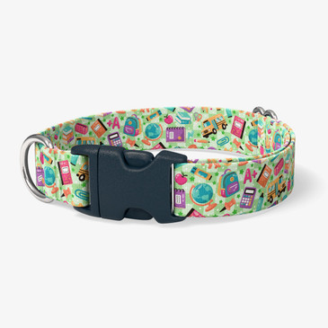 image of front of collar.