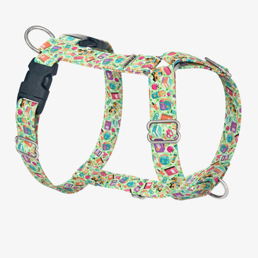 front view of harness