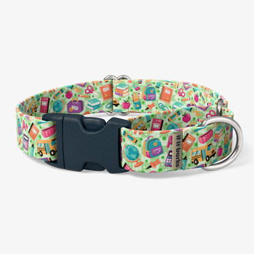 front view of collar
