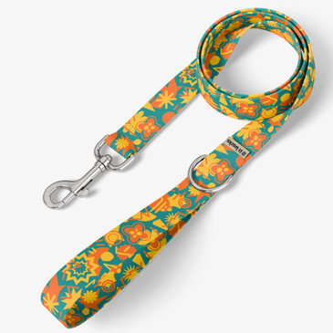 front view of leash