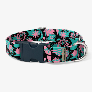front view of collar