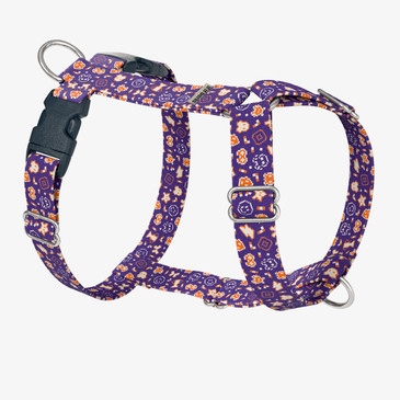 front view of harness