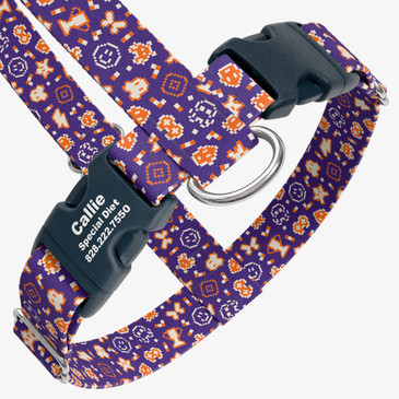 closeup view of harness with personalized buckle