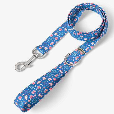 front view of leash