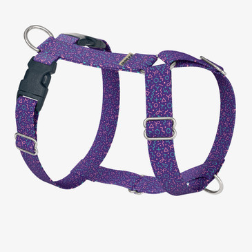 front view of harness