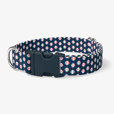 image of front of collar.