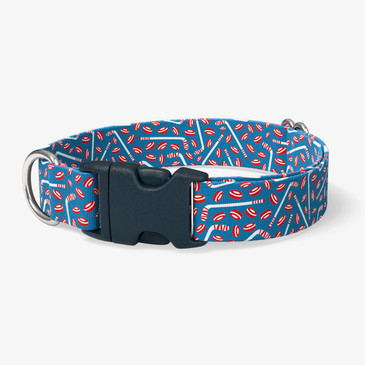 image of front of collar.