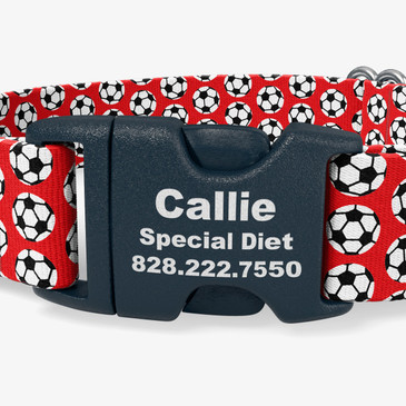 closeup of buckle personalization