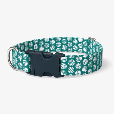 image of front of collar.