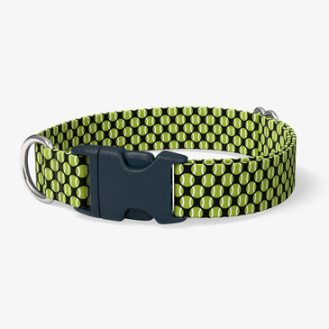 image of front of collar.