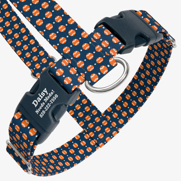 closeup view of harness with personalized buckle