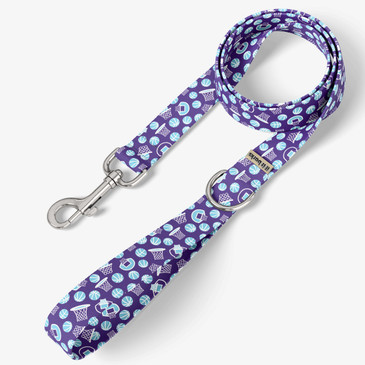 front view of leash