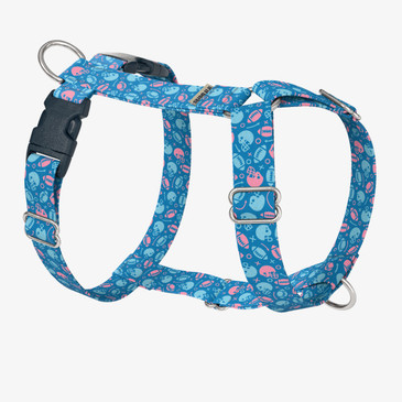 front view of harness